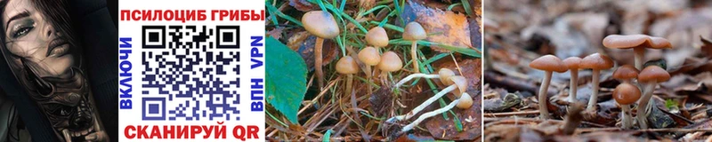 Галлюциногенные грибы MAGIC MUSHROOMS  Кувандык 